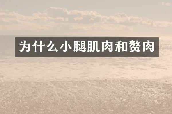 为什么小腿肌肉和赘肉