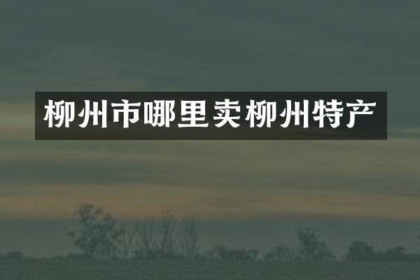 柳州市哪里卖柳州特产