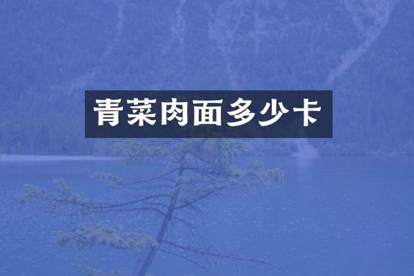 青菜肉面多少卡