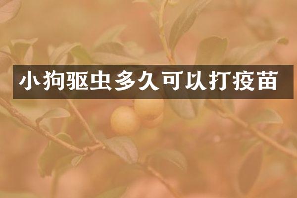 小狗驱虫多久可以打疫苗