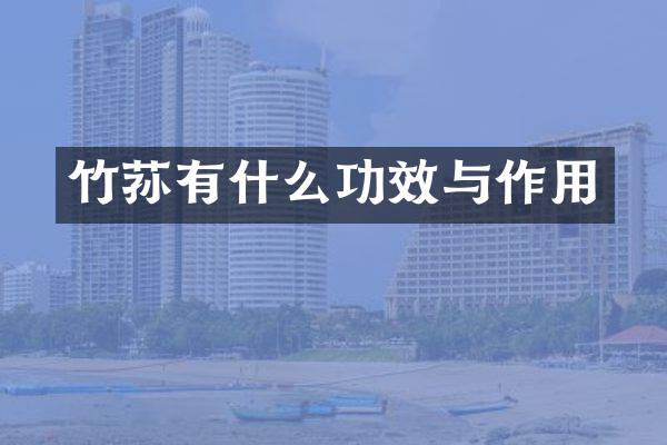 竹荪有什么功效与作用