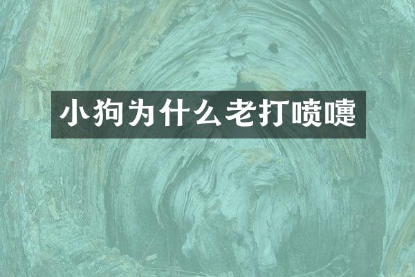 小狗为什么老打喷嚏