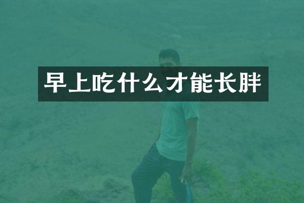 早上吃什么才能长胖