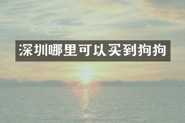 深圳哪里可以买到狗狗