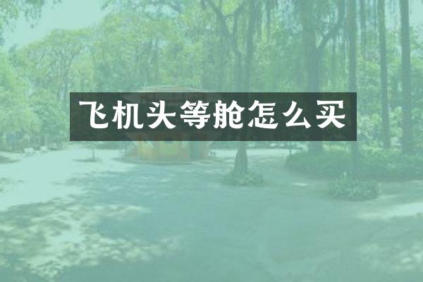 飞机头等舱怎么买