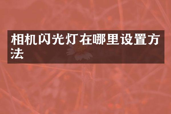 相机闪光灯在哪里设置方法