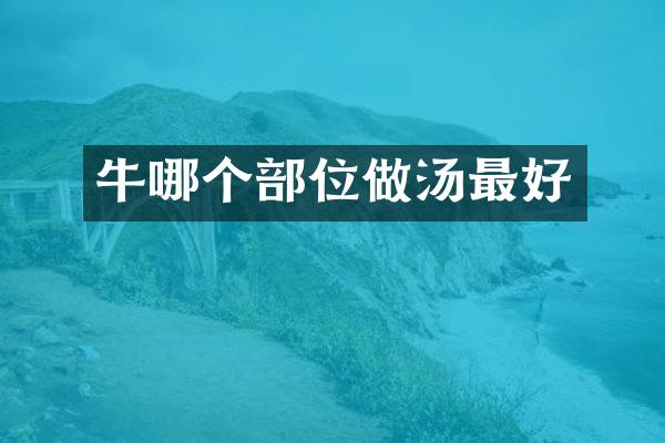 牛哪个部位做汤最好
