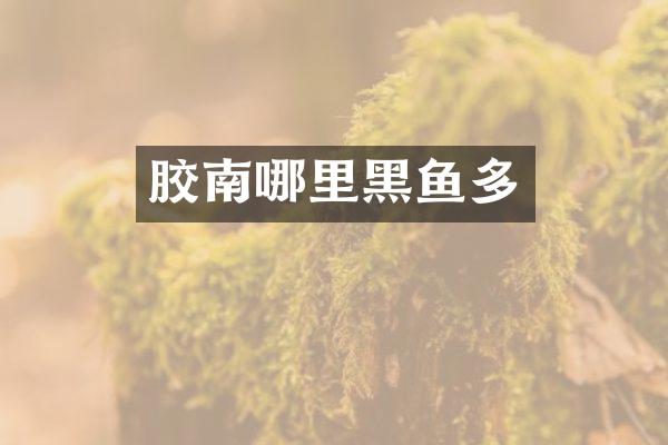 胶南哪里黑鱼多