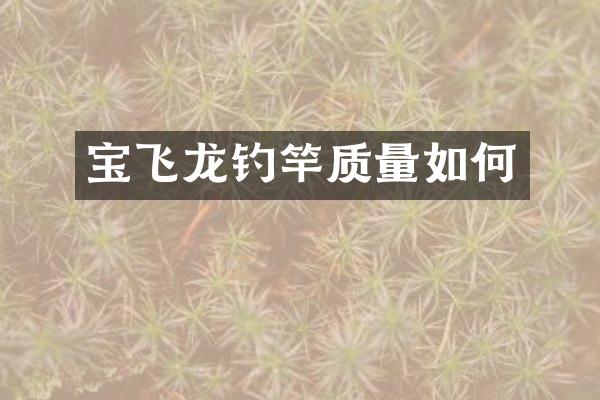 宝飞龙钓竿质量如何