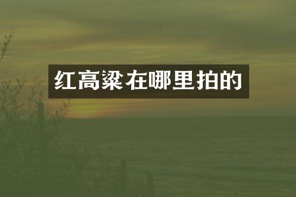 红高粱在哪里拍的
