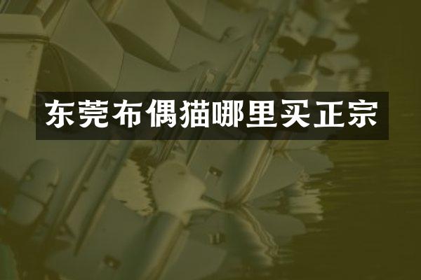 东莞布偶猫哪里买正宗