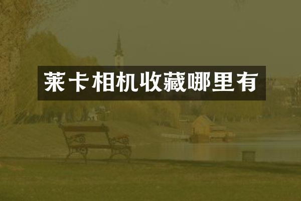 莱卡相机收藏哪里有