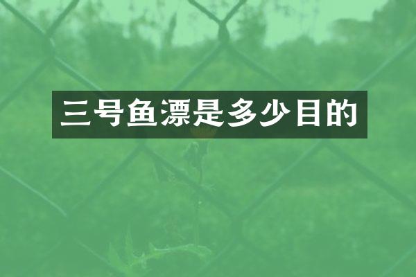 三号鱼漂是多少目的