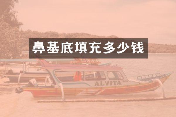 鼻基底填充多少钱