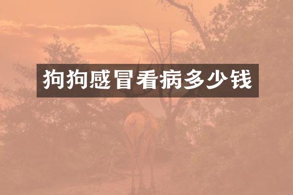 狗狗感冒看病多少钱