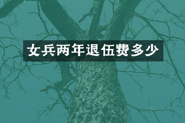 女兵两年退伍费多少