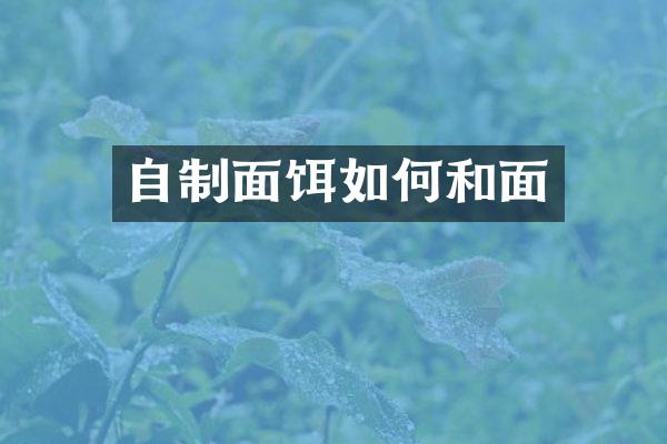 自制面饵如何和面