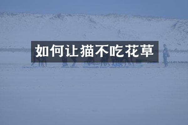如何让猫不吃花草