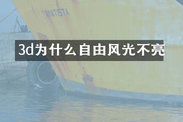 3d为什么自由风光不亮