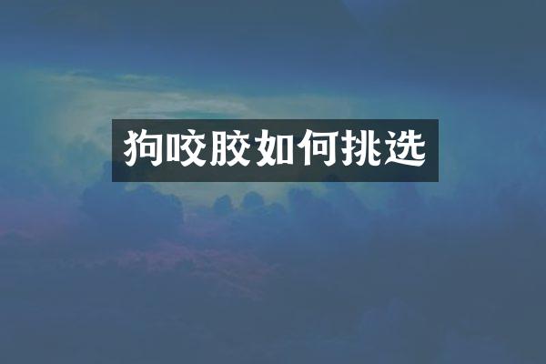 狗咬胶如何挑选