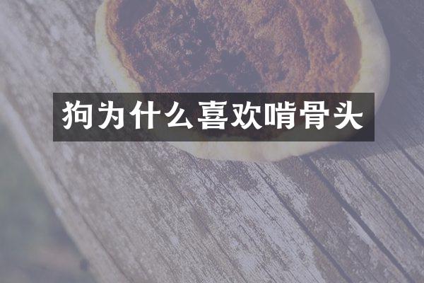 狗为什么喜欢啃骨头