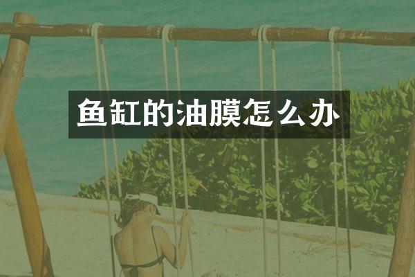 鱼缸的油膜怎么办