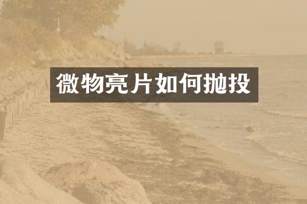 微物亮片如何抛投