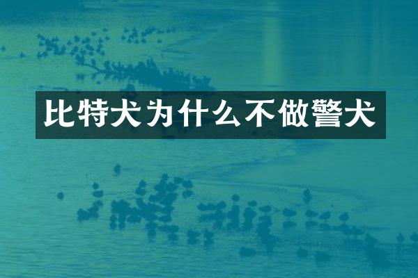 比特犬为什么不做警犬