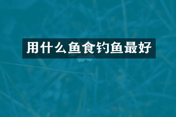 用什么鱼食钓鱼最好