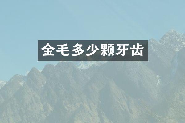 金毛多少颗牙齿