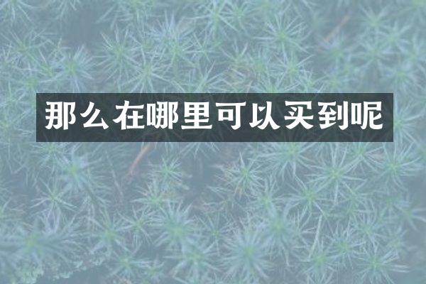 那么在哪里可以买到呢
