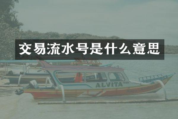交易流水号是什么意思