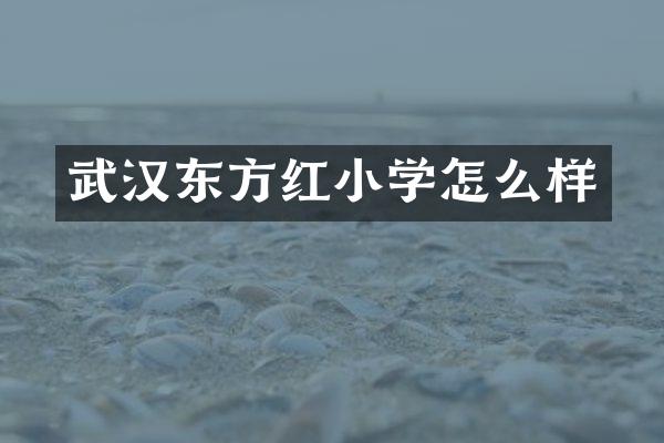 武汉东方红小学怎么样
