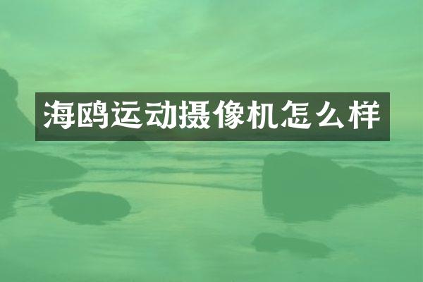 海鸥运动摄像机怎么样