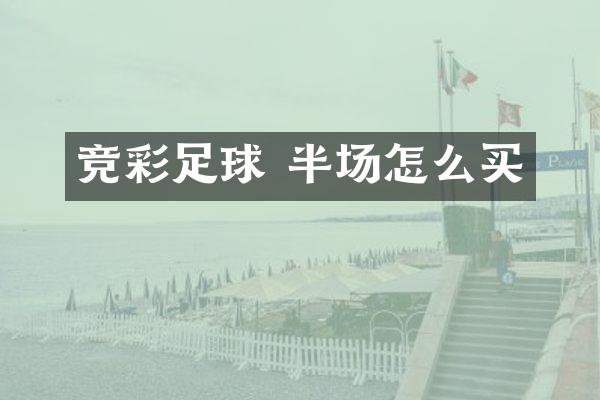 竞彩足球 半场怎么买