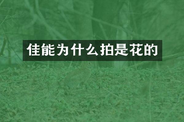 佳能为什么拍是花的