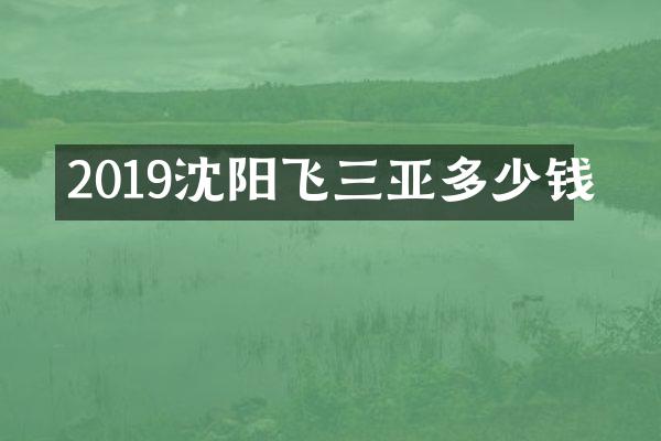 2019沈阳飞三亚多少钱