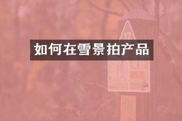 如何在雪景拍产品