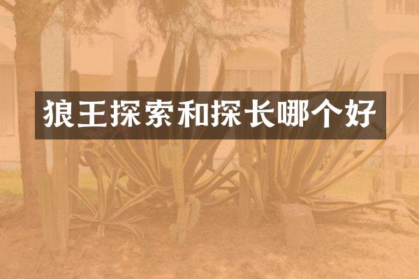 狼王探索和探长哪个好