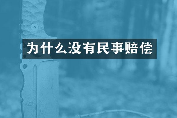 为什么没有民事赔偿