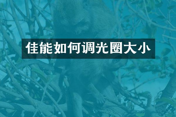 佳能如何调光圈大小