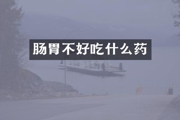 肠胃不好吃什么药