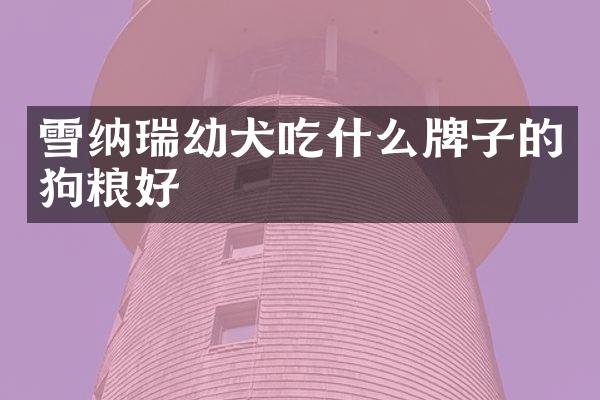 雪纳瑞幼犬吃什么牌子的狗粮好