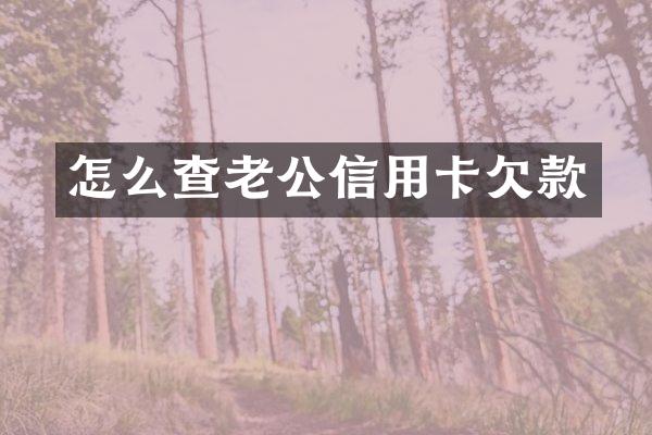 怎么查老公信用卡欠款
