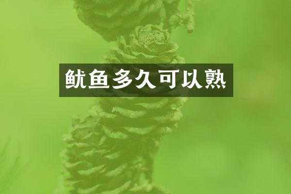 鱿鱼多久可以熟