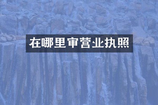 在哪里审营业执照