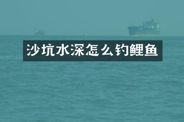 沙坑水深怎么钓鲤鱼