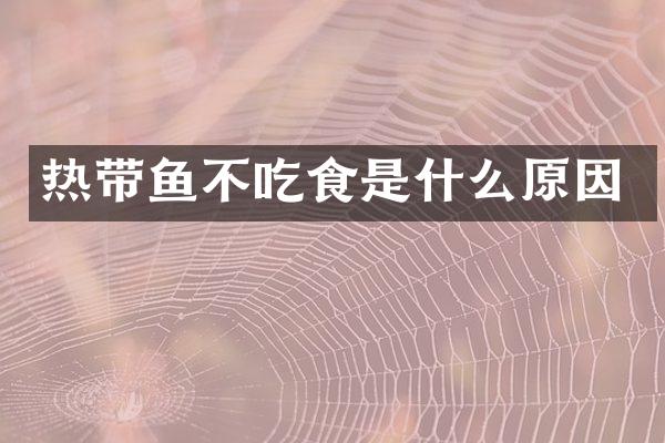 热带鱼不吃食是什么原因