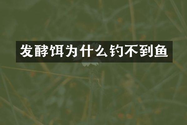 发酵饵为什么钓不到鱼