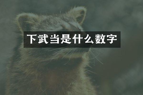 下武当是什么数字